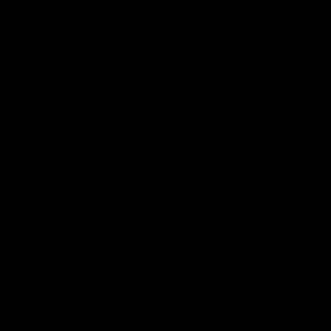 Meet your Posher, Chaneal